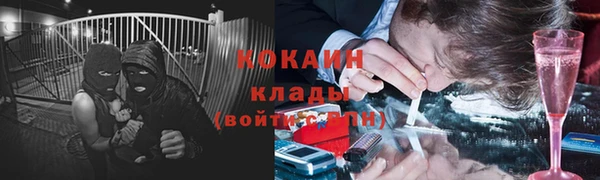 трава Балахна