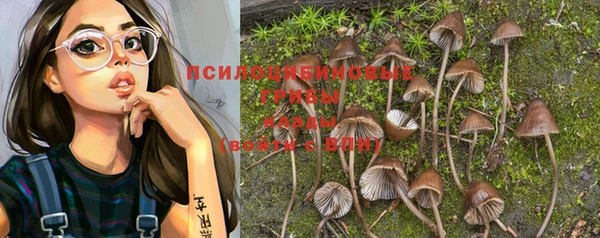 дживик Баксан