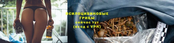 дживик Баксан