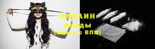 дживик Баксан