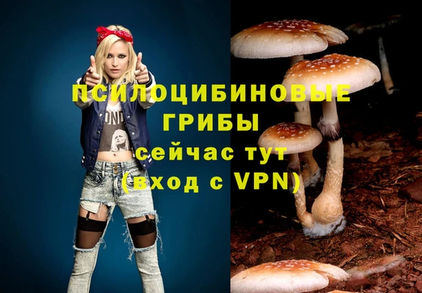 сатива Балабаново