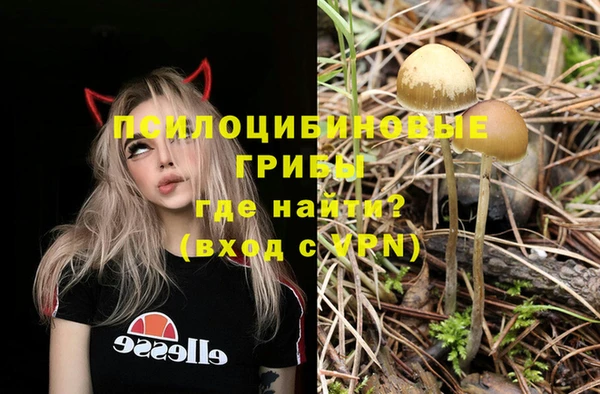 сатива Балабаново