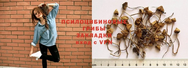 трава Балахна